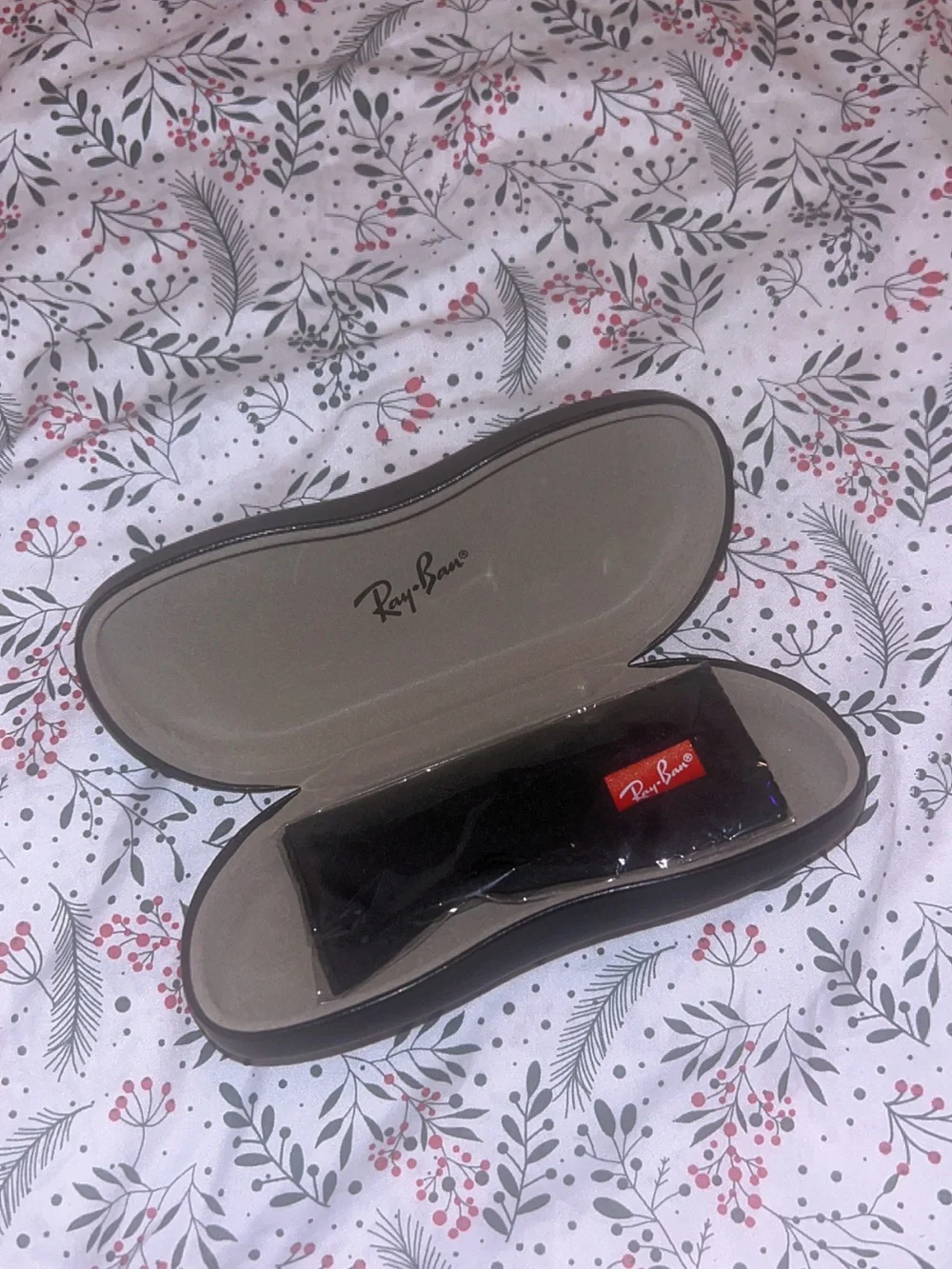 Ray-Ban Black Hard Sunglasses Case